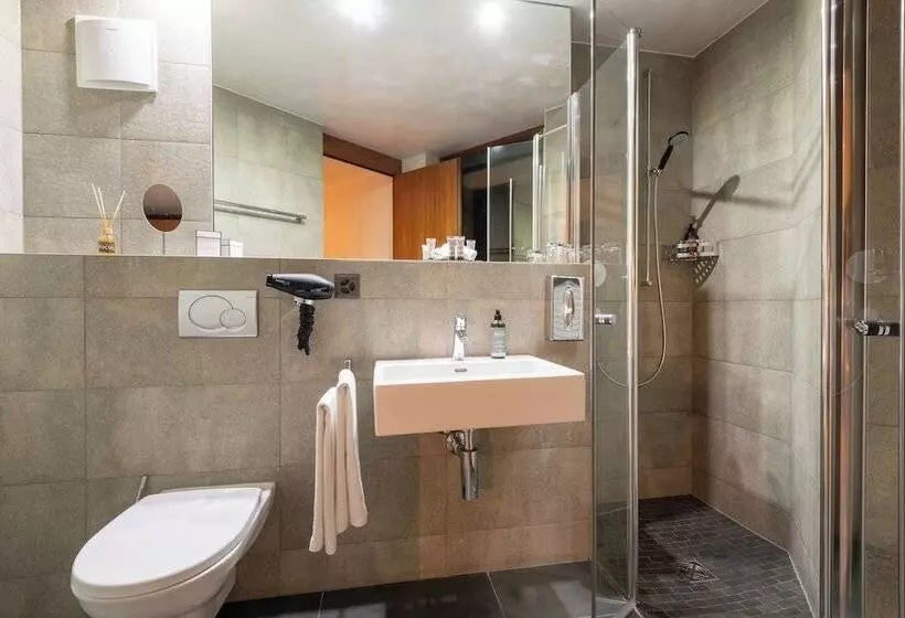 Fotos del hotel Matterhorn Focus Design:  16