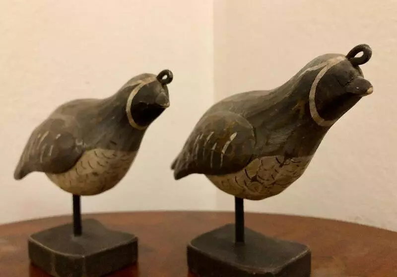 Fotos del hotel Townhouse Boutique:  7