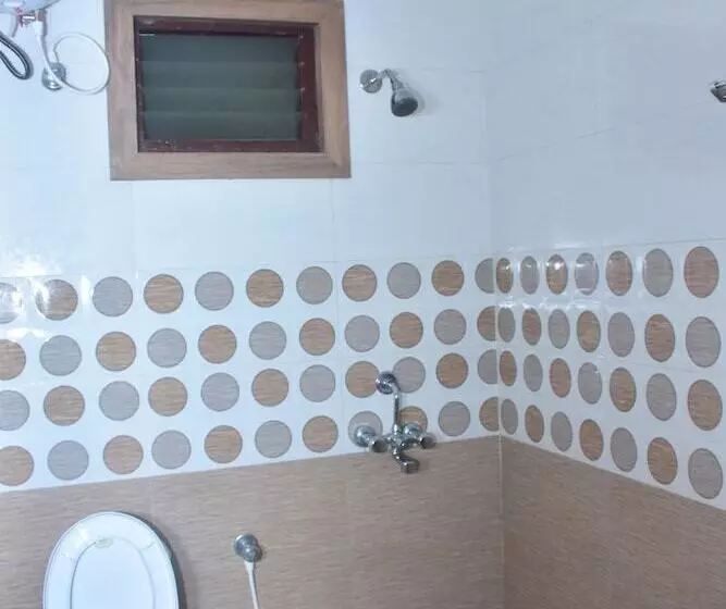 Fotos del hotel Arya Palace:  5