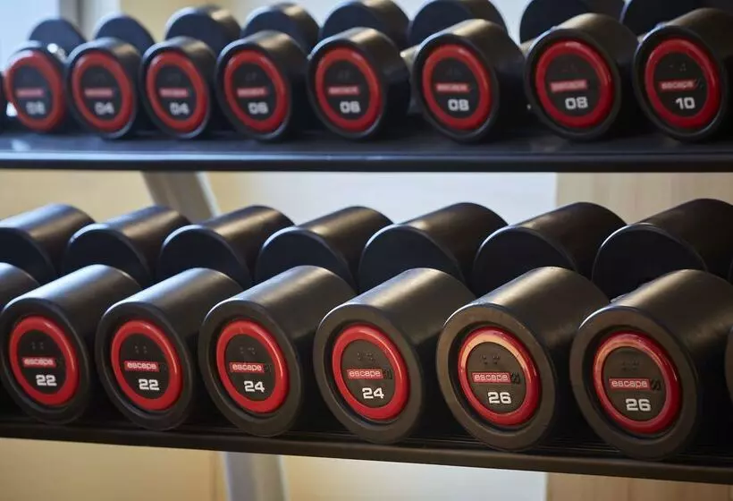 Fotos del hotel Hilton Garden Inn Frankfurt Airport:  8