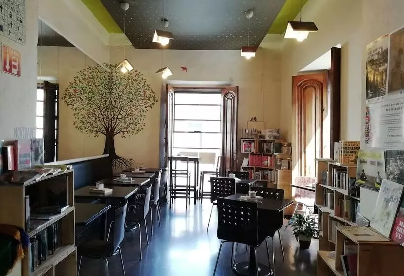 Fotos del hotel Pórtico Cultural:  17