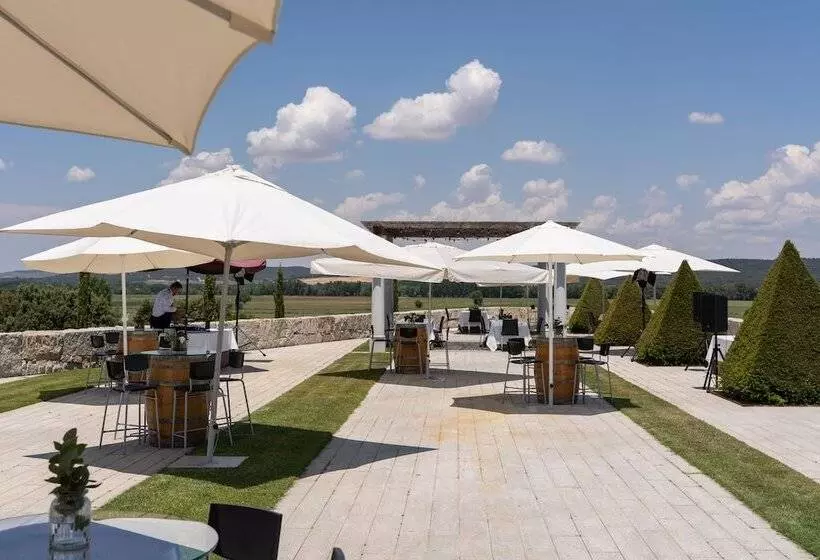 Fotos del hotel Eurostars Valbusenda  Bodega & Spa:  4