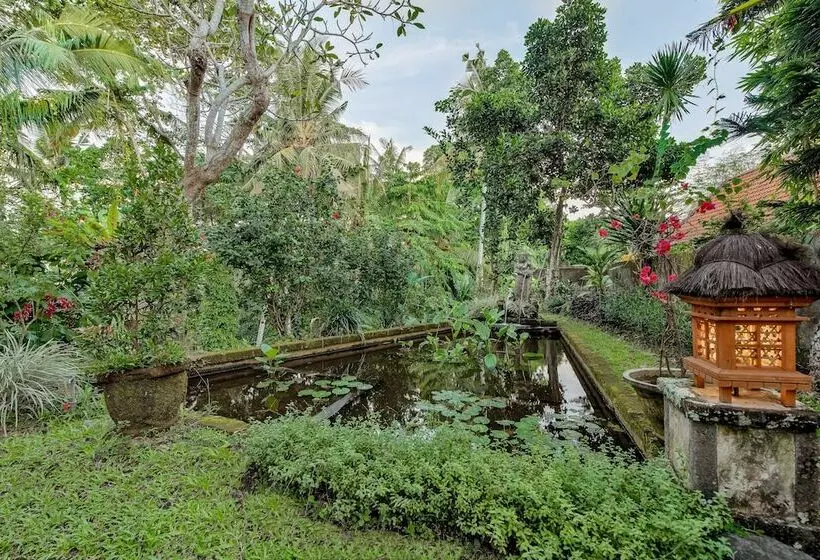 Fotos del hotel Alam Shanti:  18