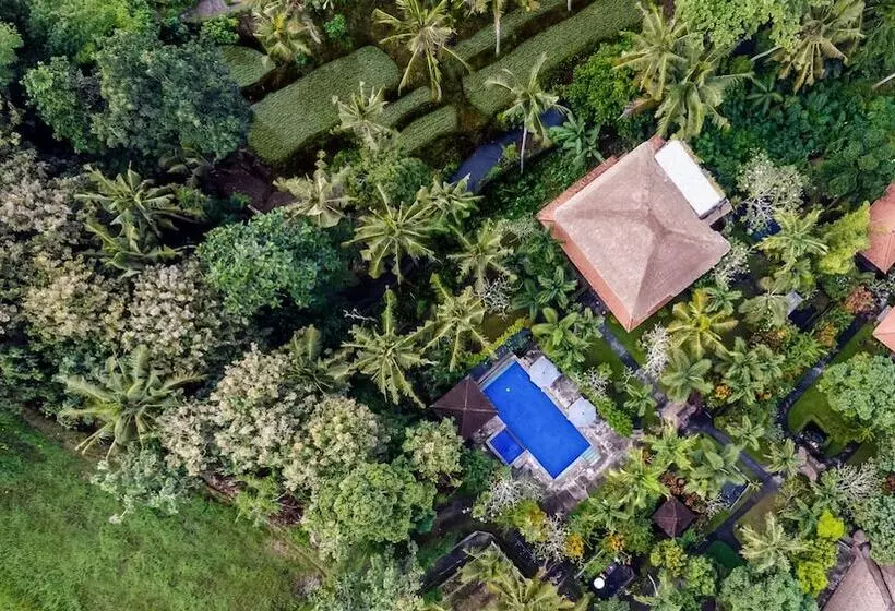 Fotos del hotel Alam Shanti:  21