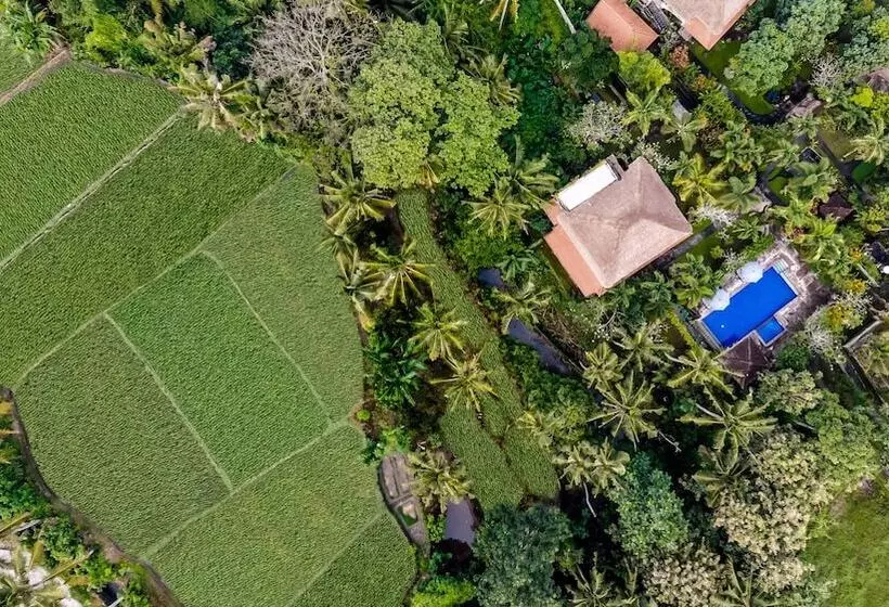 Fotos del hotel Alam Shanti:  8