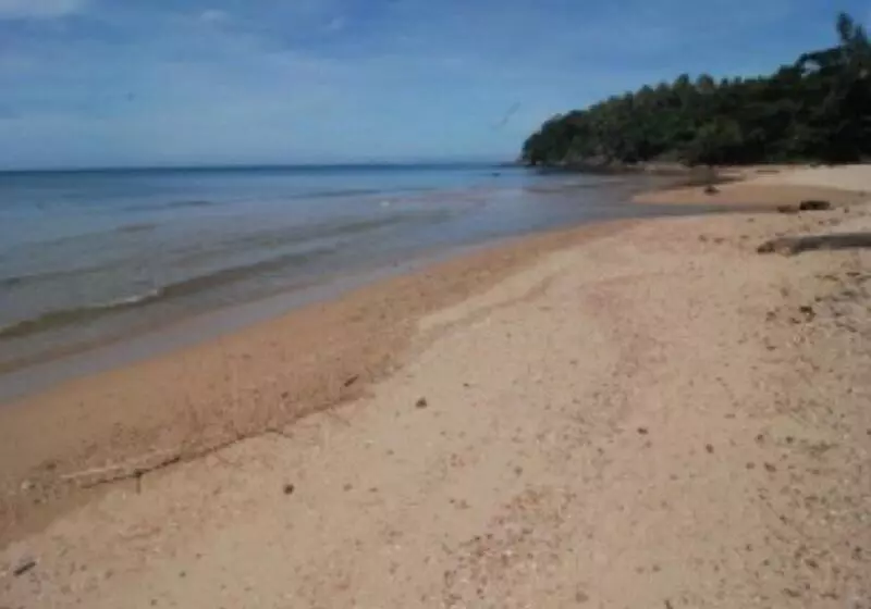 Fotos del hotel Dream Team Beach Resort:  5