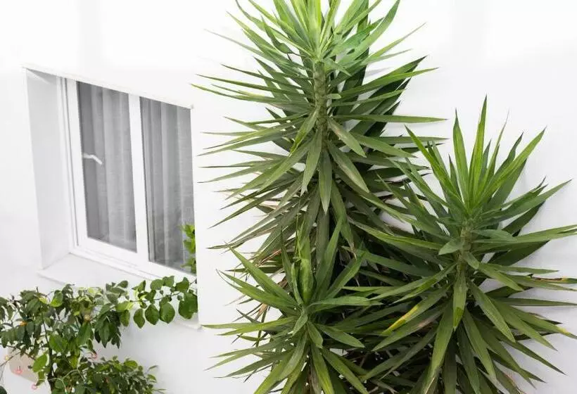 Fotos del hotel La Boutique Puerta Osario:  14