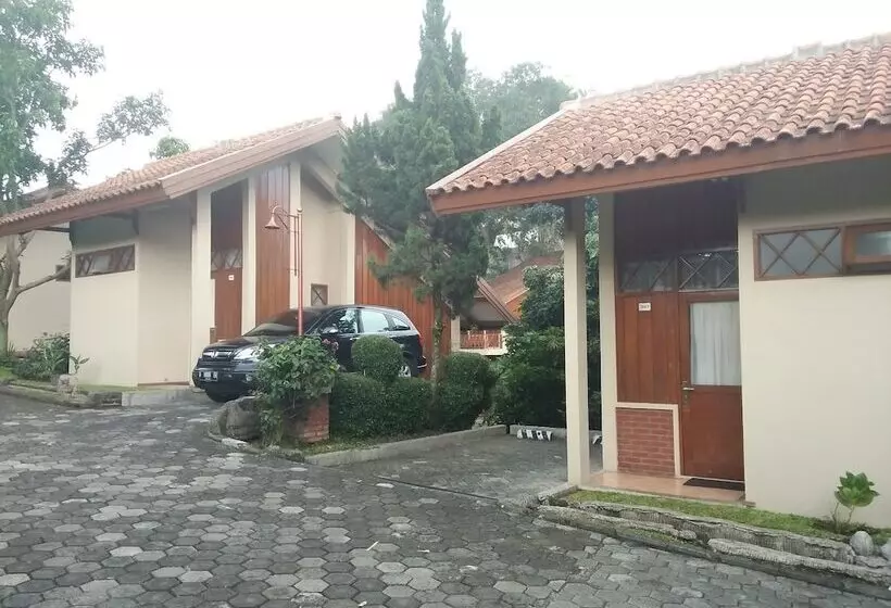 Fotos del hotel Ahadiat  & Bungalow:  20