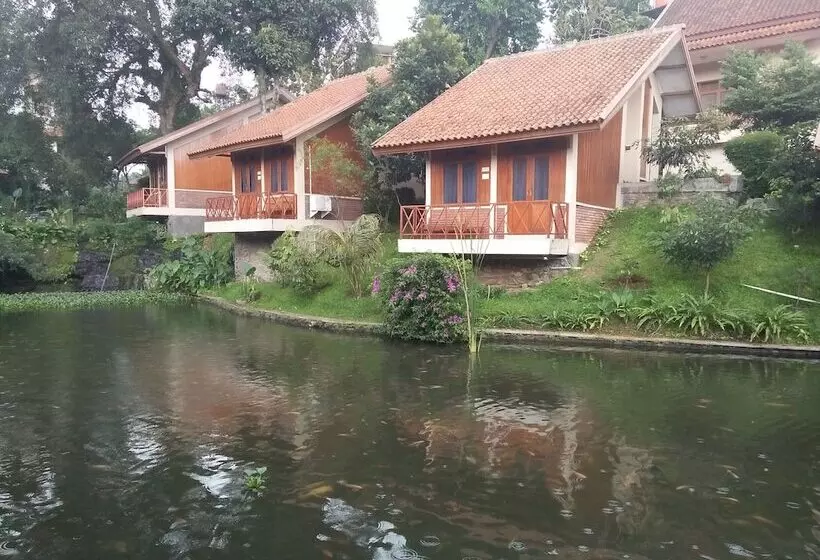 Fotos del hotel Ahadiat  & Bungalow:  21