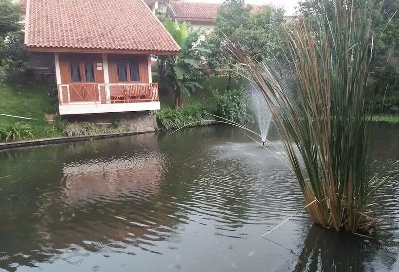 Fotos del hotel Ahadiat  & Bungalow:  15