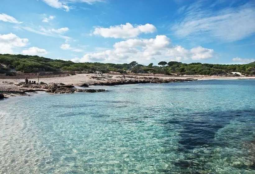 Fotos del hotel Bell Port:  23