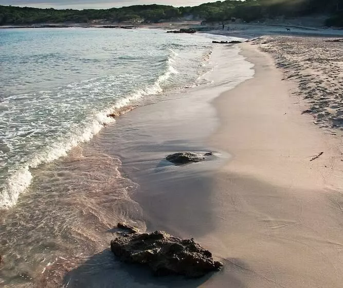 Fotos del hotel Bell Port:  10