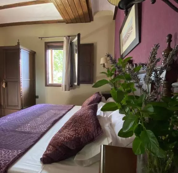 Fotos del hotel Enoturismo Mainetes:  25