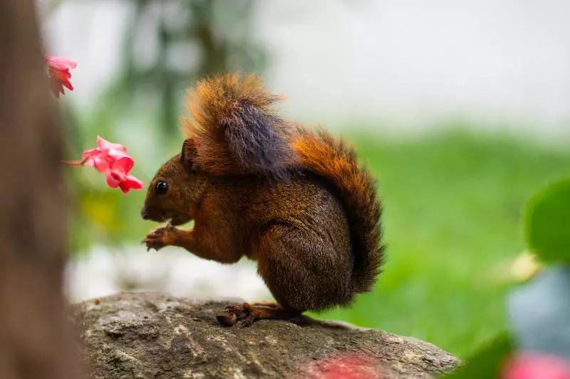 Fotos del hotel Greenview Medellin:  7