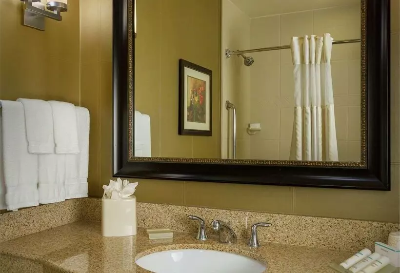Fotos del hotel Hilton Garden Inn Phoenix Airport North:  13