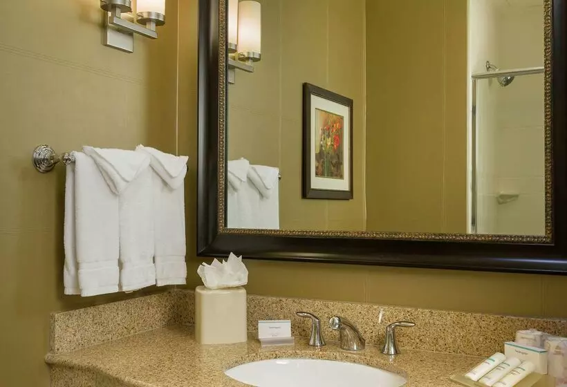 Fotos del hotel Hilton Garden Inn Phoenix Airport North:  21