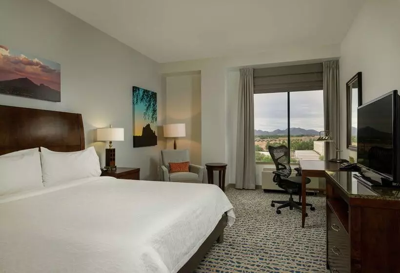 Fotos del hotel Hilton Garden Inn Phoenix Airport North:  14