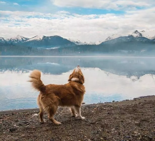 Fotos del hotel Peninsula Petit:  4