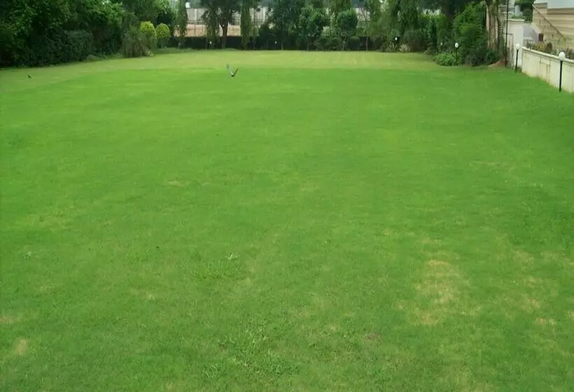 Fotos del hotel Sarovar Portico:  3