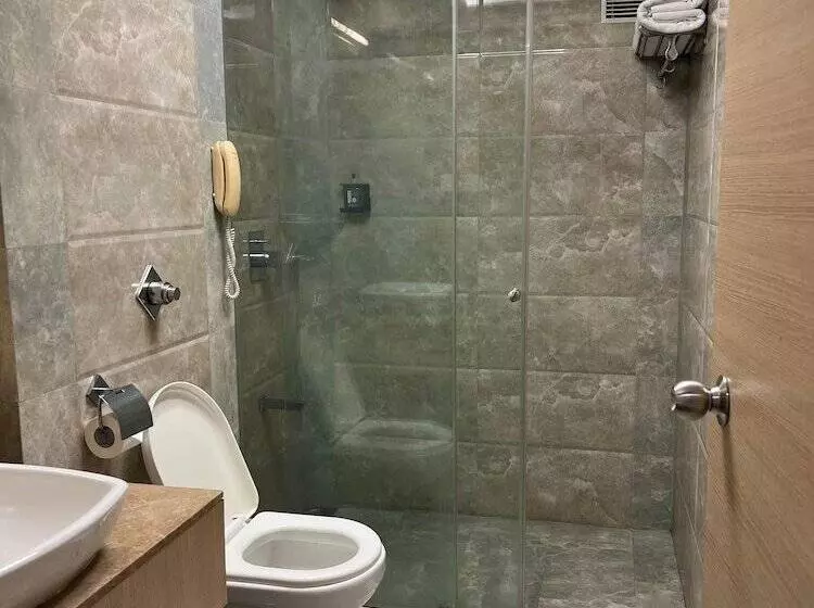 Fotos del hotel Sarovar Portico:  14