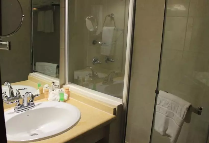 Fotos del hotel Toscana Inn:  8