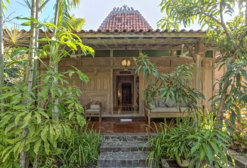 Fotos del hotel Kampung Kecil:  11