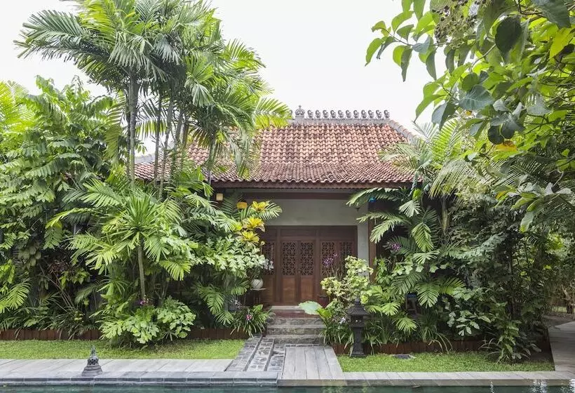 Fotos del hotel Kampung Kecil:  15