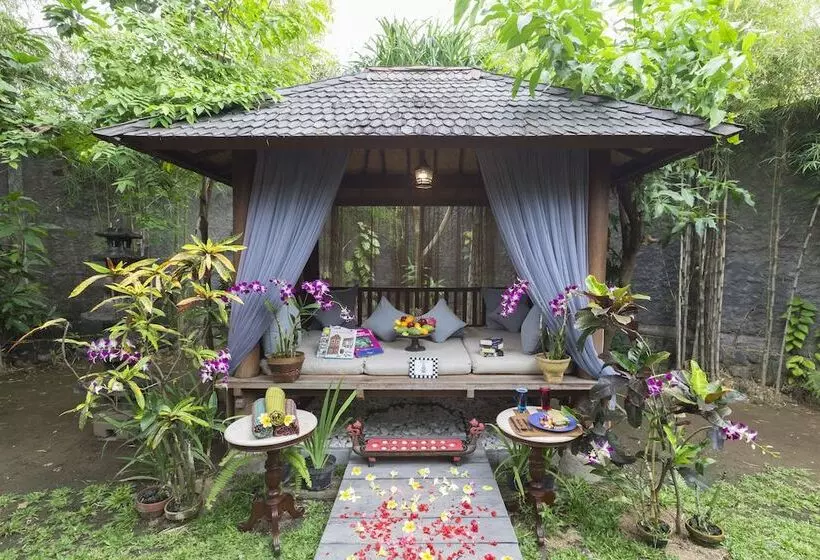 Fotos del hotel Kampung Kecil:  4