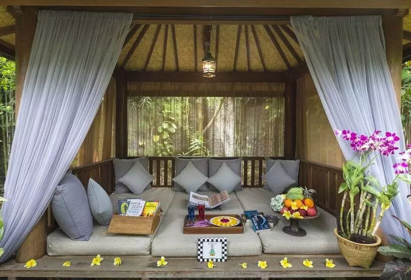 Fotos del hotel Kampung Kecil:  13