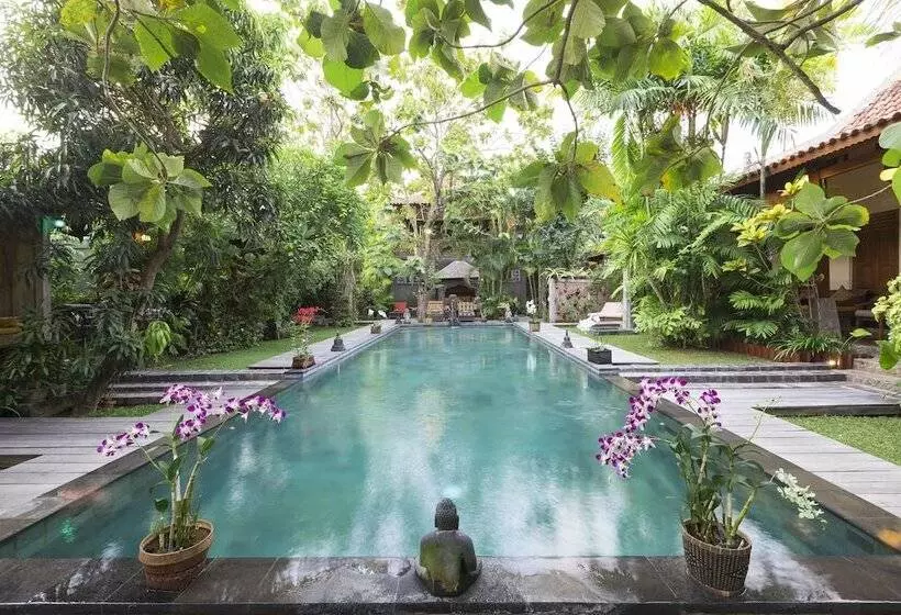 Fotos del hotel Kampung Kecil:  2