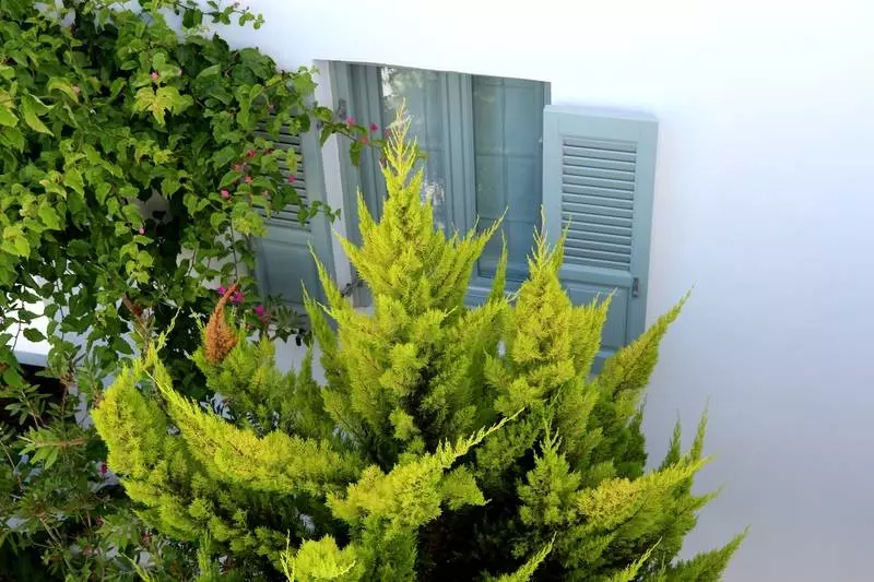 Fotos del hotel Astro Palace  & Spa:  23