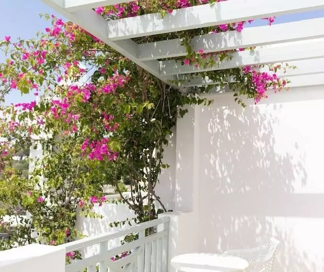 Fotos del hotel Astro Palace  & Spa:  4