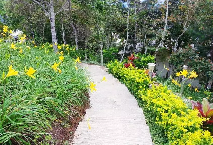 Fotos del hotel Celyn Resort Kinabalu:  14