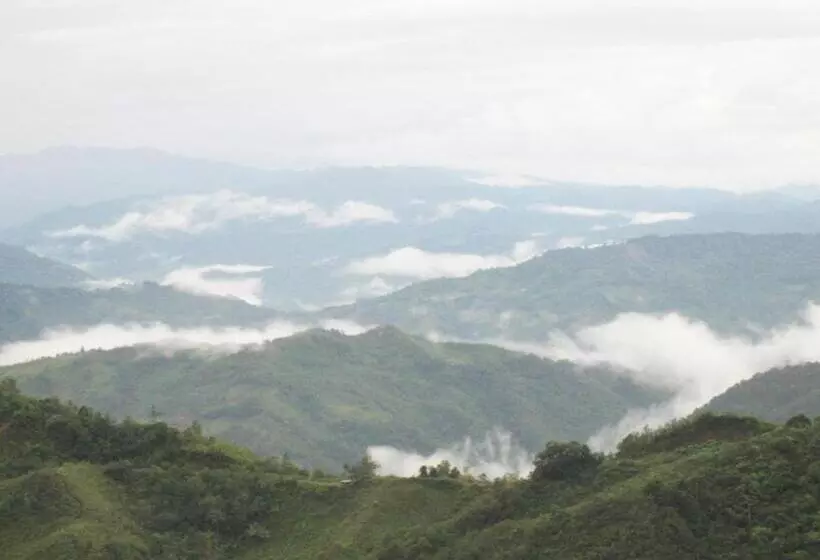 Fotos del hotel Celyn Resort Kinabalu:  6