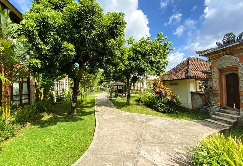 Fotos del hotel Desamuda Village:  4