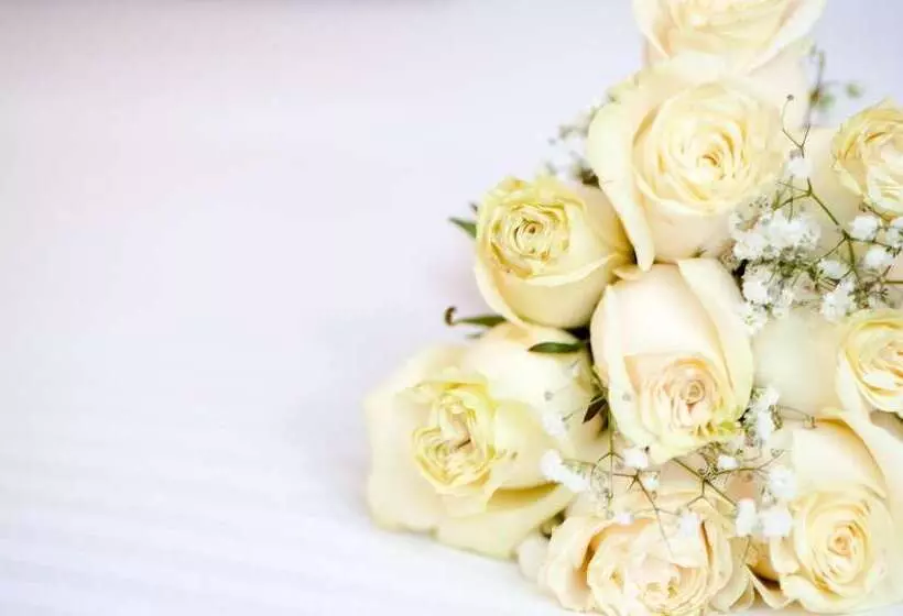 Fotos del hotel Ms Chipichape Plus:  5