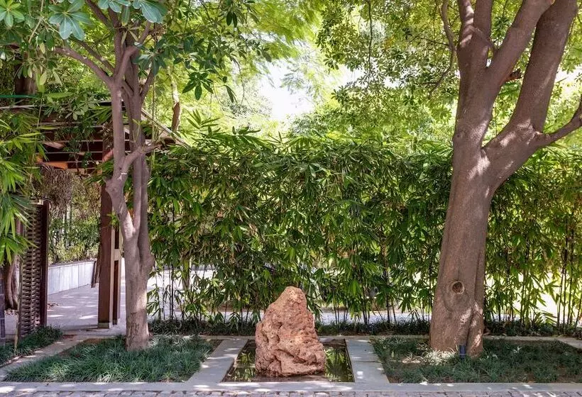 Fotos del hotel The Manor  A Boutique:  21