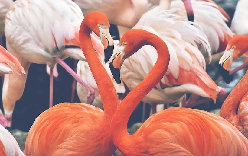 Fotos del hotel Empress Boutique:  4