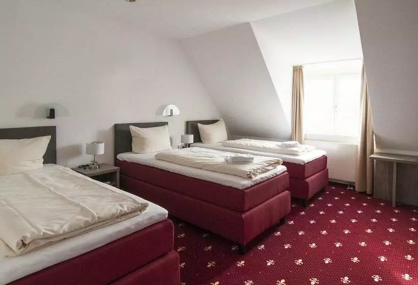 Fotos del hotel Hotel Maurer:  25