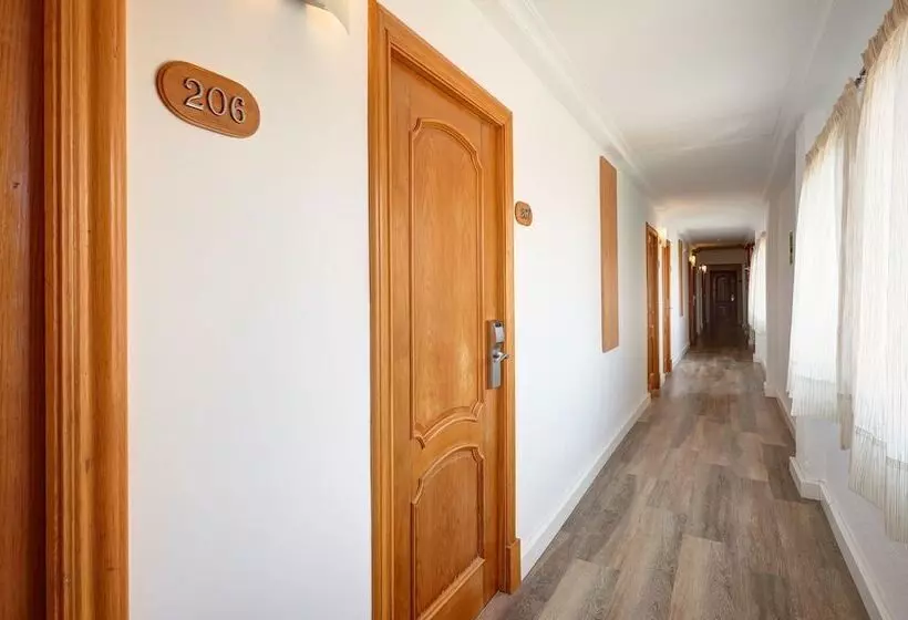 Fotos del hotel Y Apartamentos Morito:  3