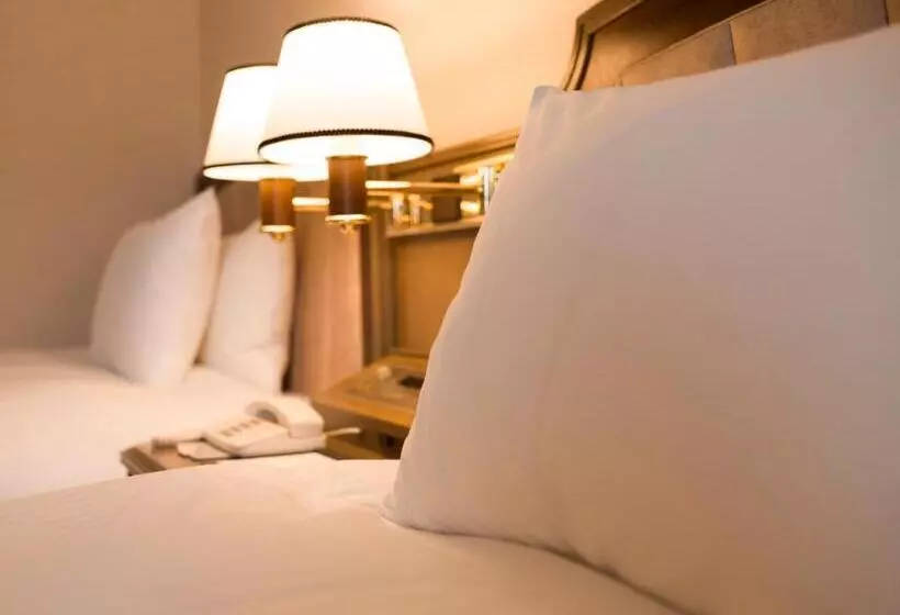 Fotos del hotel Mystays Sapporo Aspen:  25