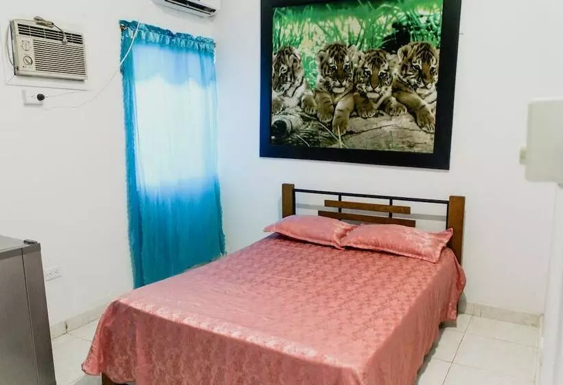 Fotos del hotel Casa Vieja:  8