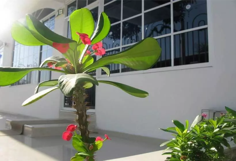 Fotos del hotel Casa Vieja:  15