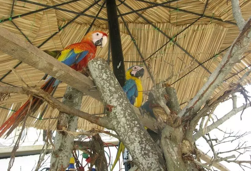 Fotos del hotel Casa Vieja:  6