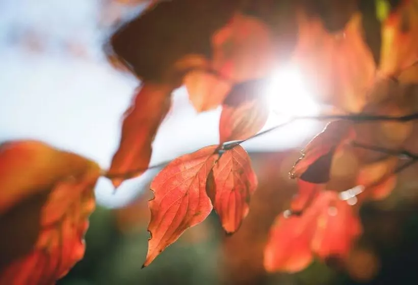 Fotos del hotel Rurikoh:  16