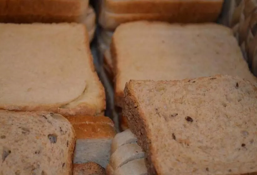 Fotos del hotel Villa Diana:  3