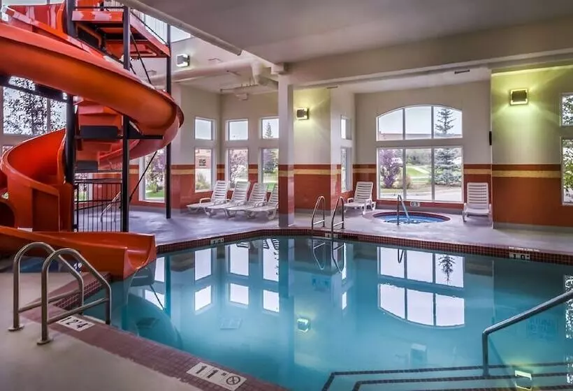 Fotos del hotel Service Plus Inns & Suites Calgary:  2