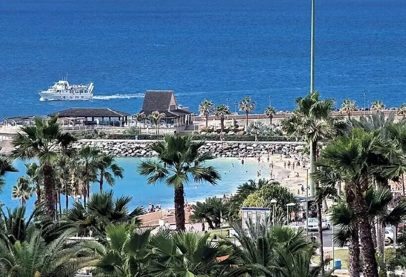 Fotos del hotel Apartamentos Gran Amadores:  13