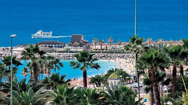 Fotos del hotel Apartamentos Gran Amadores:  19