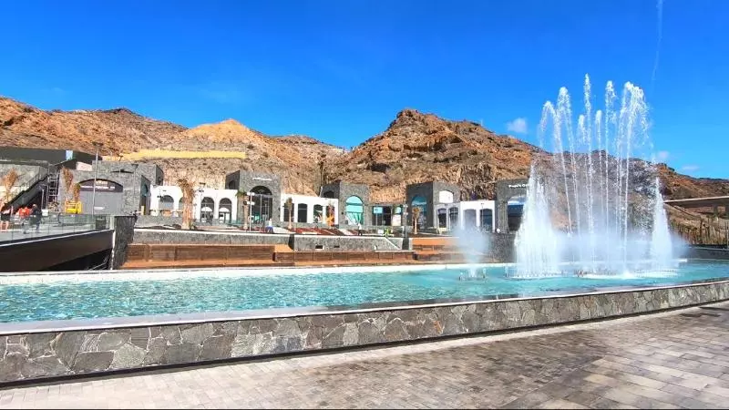 Fotos del hotel Apartamentos Gran Amadores:  3